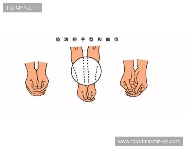 排球新手必看：轻松掌握状态与技巧的全面入门指南